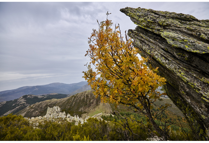 Cerro-del-Salinero-y-Porrejon