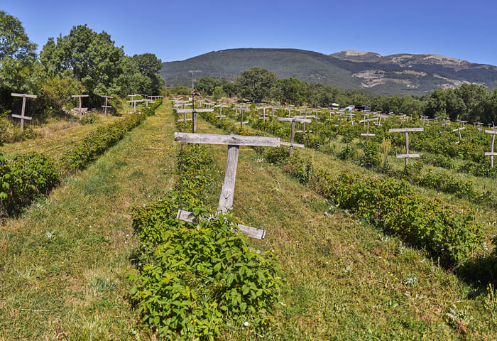 Cosecha de frutas grande