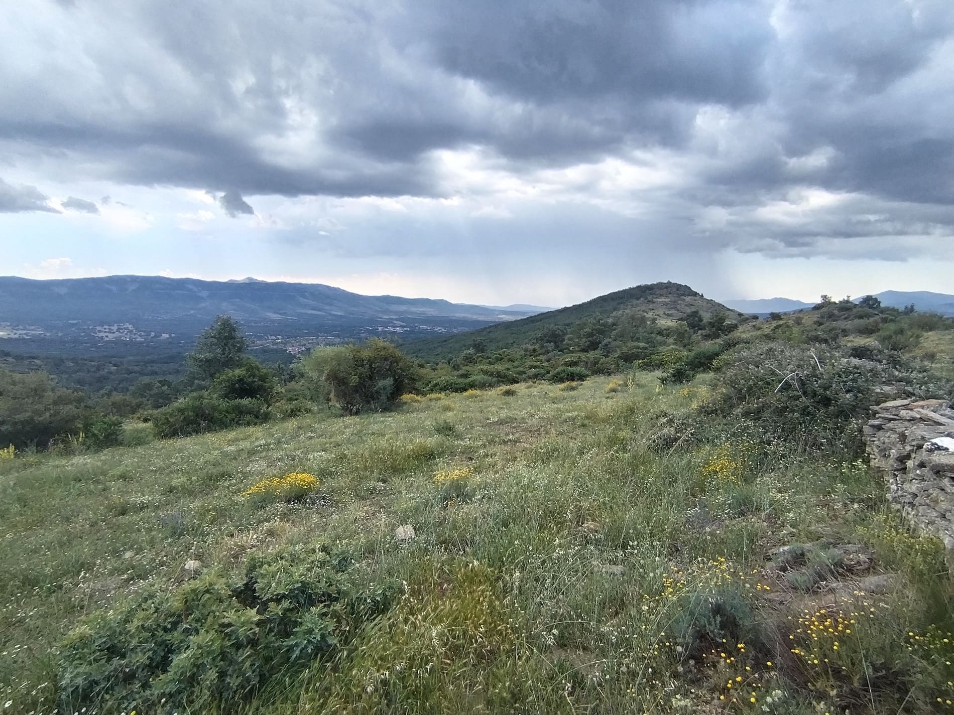 Vista monte