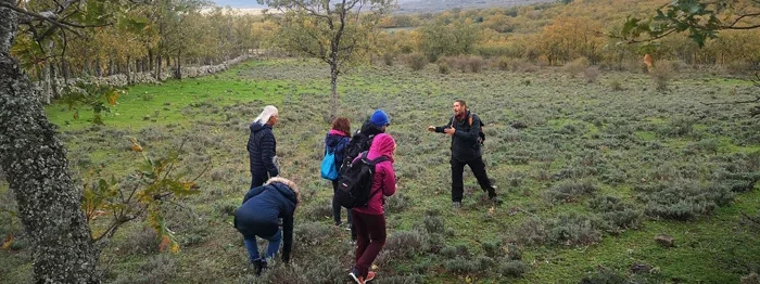 Experiencia en la sierra norte
