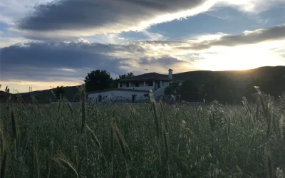diezmos-torremocha