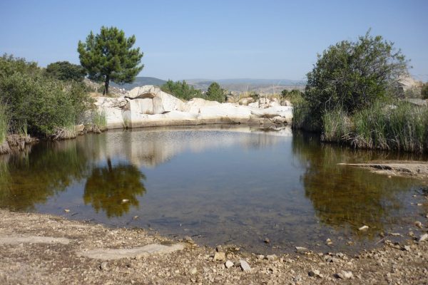 Lago pequeño