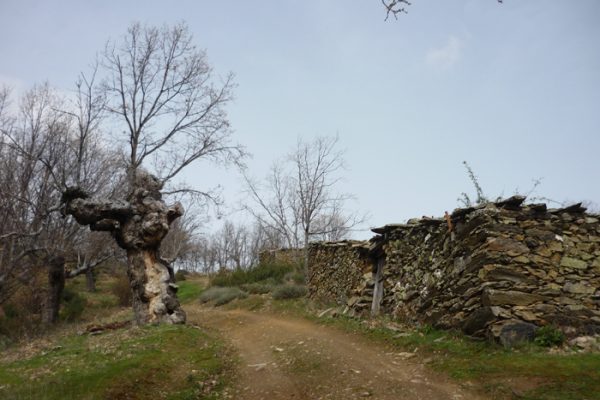 sierra-del-rincon-casillos