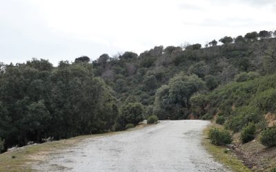 Ruta senda para todos