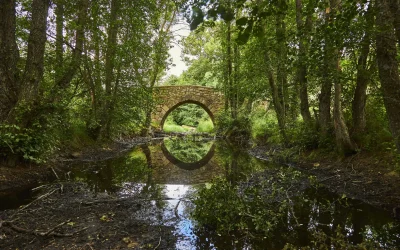 Arco puente
