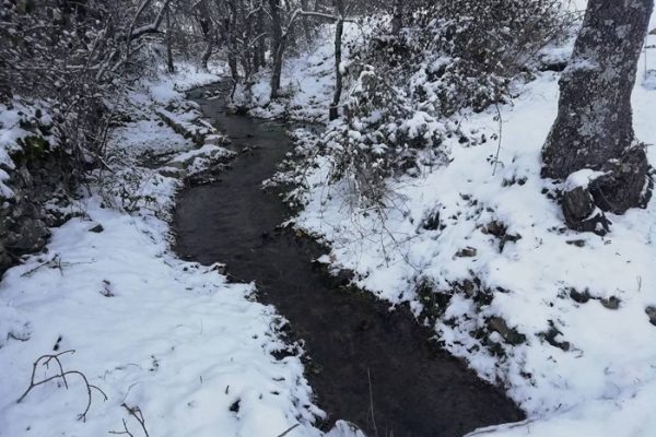 horcajo1