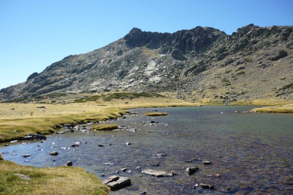 laguna-pajaros