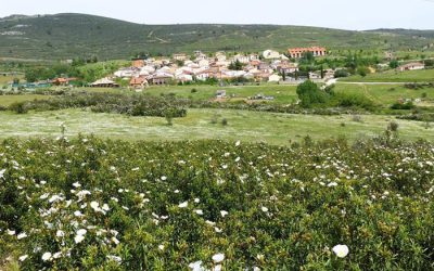 municipio_robledillo-de-la-jara